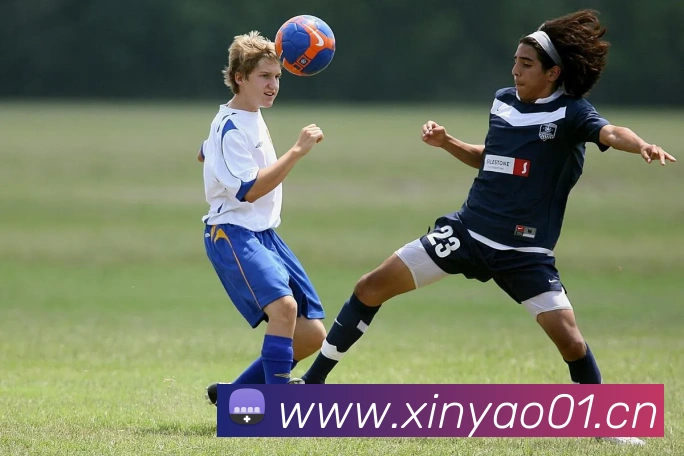 华体官网登录入口手机版服务体系